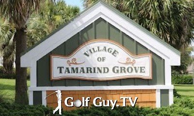 Tamarind Grove